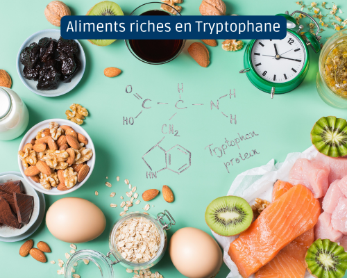 Aliments riches en tryptophane